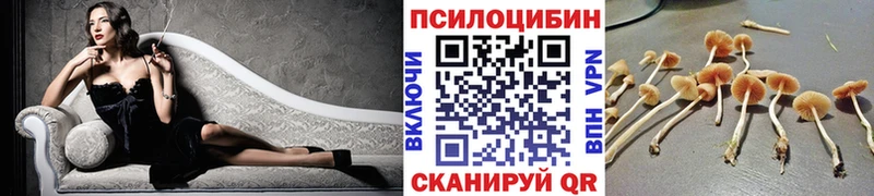 blacksprut как зайти  Узловая  даркнет телеграм  Псилоцибиновые грибы Psilocybine cubensis 